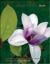 Magnolia Elvina