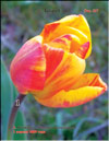   Tulipa L.