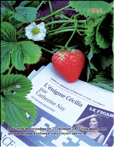 Strawberries in April